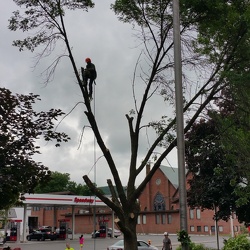 Repairs