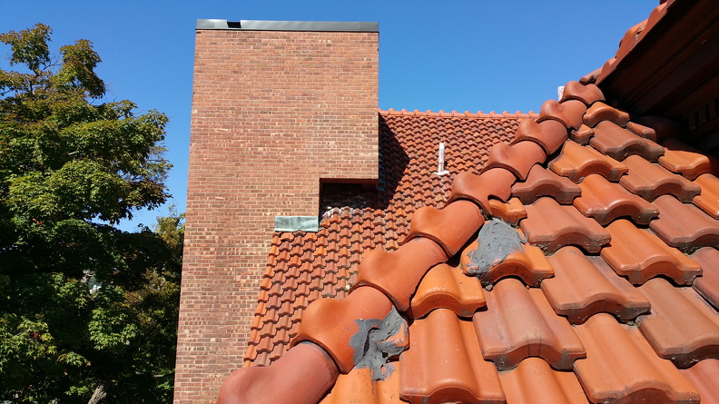 20150915_114613.jpg